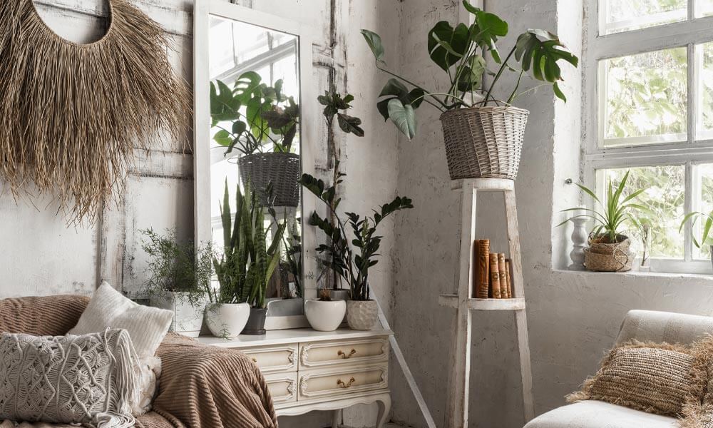 Indoor-Plants-How-to-Style-Your-Home-with-Houseplants-Blog-Image