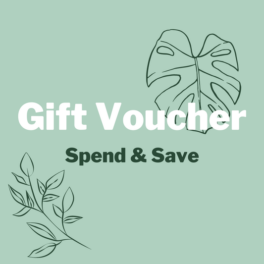 Opening Special | Gift Vouchers