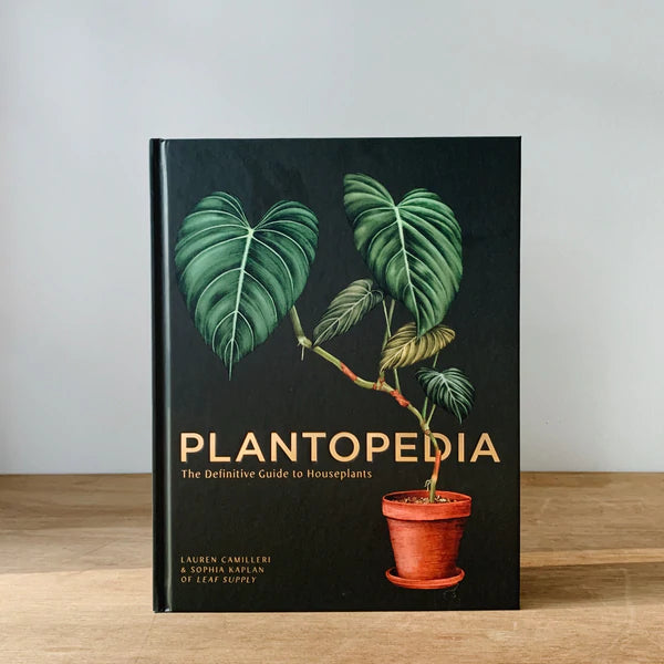 Plant Book, Indoor Plant Shop, Wanaka, New Zealand