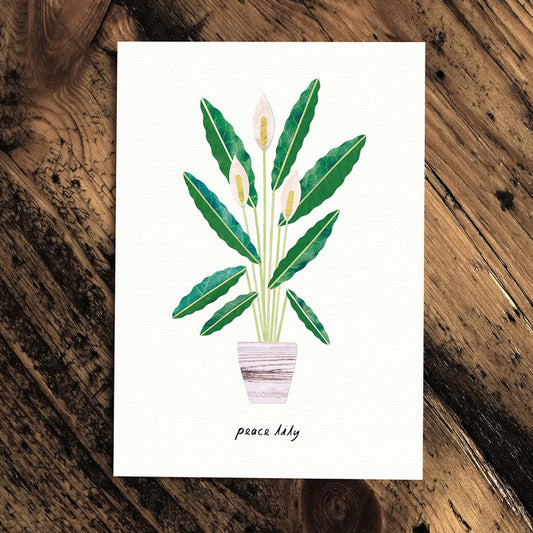 Peace Lily- Greeting Plant