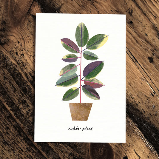 Rubber Plant- Greeting Card